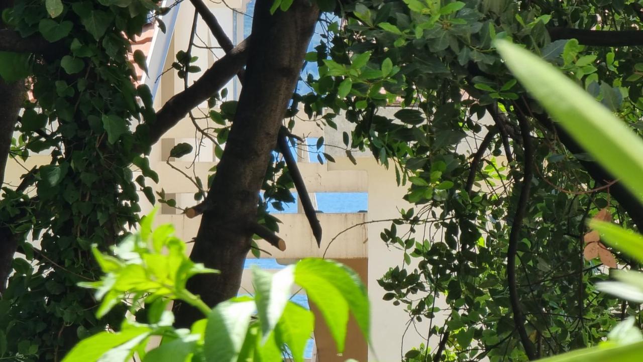 Apartment Savina تْشيرسيك نوفي المظهر الخارجي الصورة